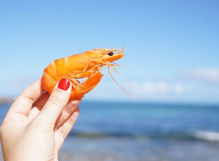 Dalam Bahasa Inggris Udang Bisa Disebut Shrimp Maupun Prawn Apa Beda Keduanya Semua Halaman Bobo
