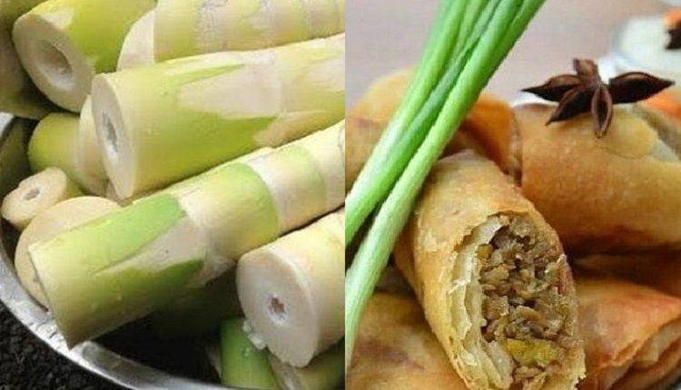 Sering Jadi Bahan Isian Lumpia Terungkap 5 Manfaat Rebung Untuk Kesehatan Wanita Ibu Ibu Wajib Baca Semua Halaman Sajian Sedap Sering Jadi Bahan Isian Lumpia Terungkap 5 Manfaat Rebung Untuk Kesehatan Wanita Ibu Ibu Wajib Baca Semua Halaman Sajian Sedap