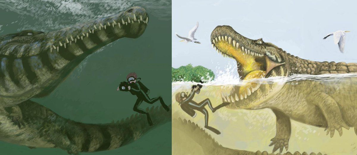 Monster Leluhur Buaya Sepanjang 9 Meter Terungkap Menjelajahi Wilayah Ini 130 Juta Tahun Yang Lalu Gigitannya Yang Kuat Diperkirakan Mampu Membunuh Dinosaurus Semua Halaman Intisari