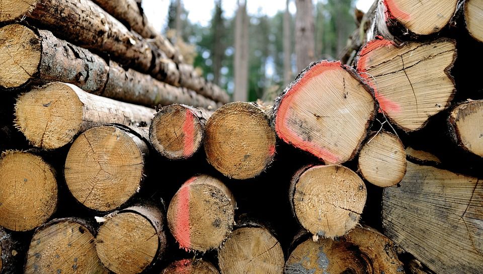 Mengenal Jenis Dan Sifat Bahan Mulai Dari Karet Hingga Kayu Semua Halaman Bobo