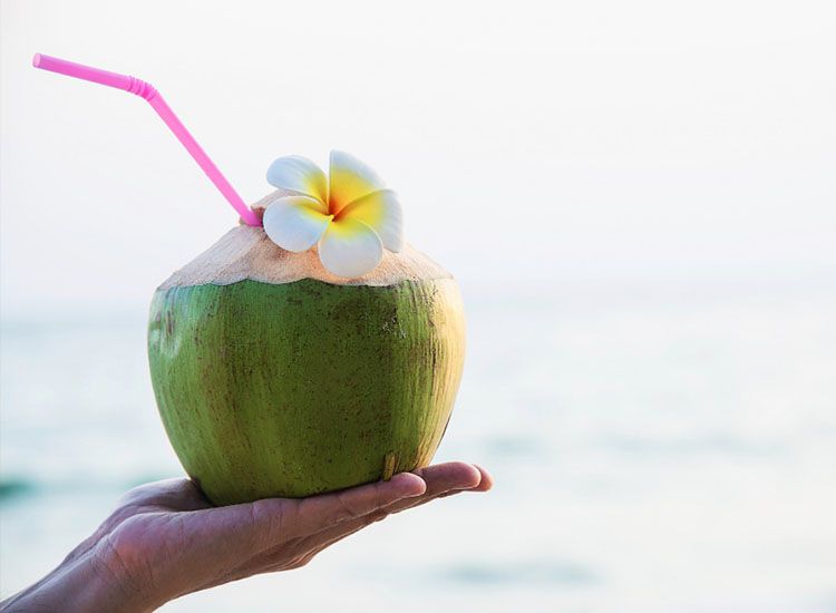 Segar Dan Menyehatkan Ibu Hamil Tidak Boleh Sering Minum Air Kelapa Jika Tak Ingin Alami Masalah Kehamilan Hingga Trimester Akhir Semua Halaman Grid Health