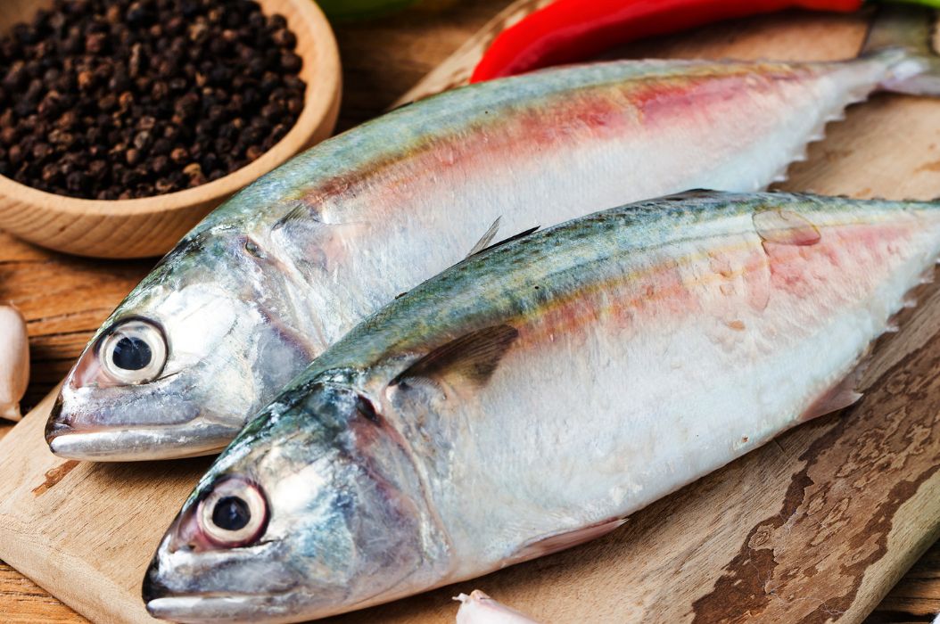 ikan adalah salah satu jenis makanan yang memiliki kandungan protein tinggi. tetapi ikan mudah seka