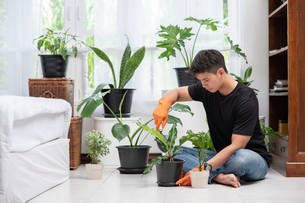 Baru Mulai Berkebun? Perhatikan 5 Tips Menanam Tanaman Hias untuk Pemula -  Semua Halaman - Bobo