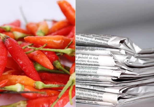 Satu Indonesia Baru Tahu Sekarang, Bungkus Cabai Dengan Kertas Koran Bisa  Membunuh Seisi Rumah Dalam Sekejap - Semua Halaman - Sajian Sedap