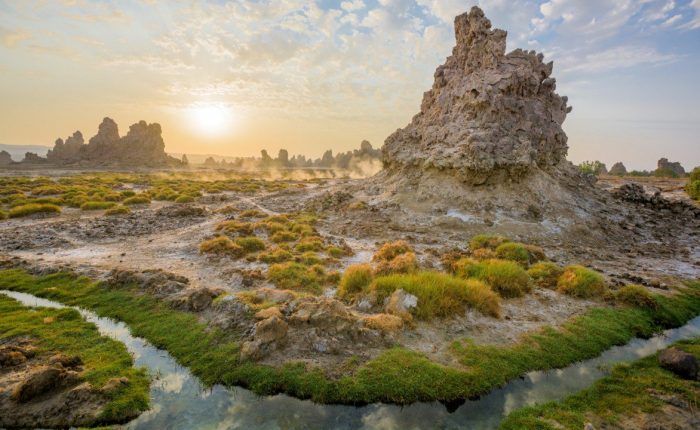 Misi Mengungkap Ikan Purba di Asa Koma dan Danau Abhé, Djibouti - National  Geographic