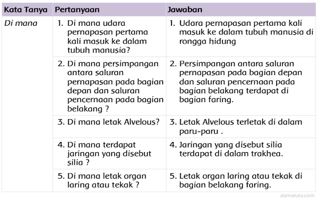 Jawaban Buatlah Pertanyaan Tentang Sistem Pernapasan Pada Manusia Semua Halaman Fotokita