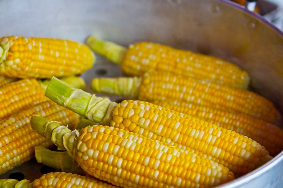 Arti Mimpi Makan Jagung Rebus Ternyata Memiliki Makna Tentang Kepedulian Seseorang Yang Menyangkut Rasa Aman Arti Mimpi Makan Jagung Rebus Ternyata Memiliki Makna Tentang Kepedulian Seseorang Yang Menyangkut Rasa Aman