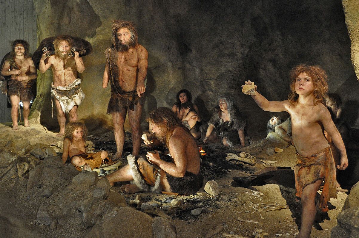 Seperti Apakah Ragam Perkakas Batu Buatan Manusia Neanderthal? - Semua Halaman - National Geographic