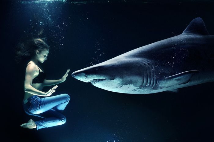 Arti Mimpi Digigit Ikan Hiu Ternyata Patut Diwaspadai Hati Hati Bisa Jadi Tanda Ada Seseorang Yang Berkhianat