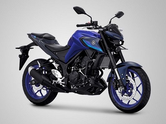 Yamaha FZ25 2019 ABS đẹp long lanh động cơ 250cc về VN giá rẻ hơn cả