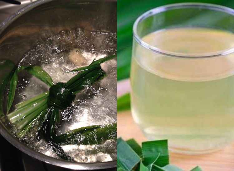 Jangan Mau Disuruh Terus Minum Obat Atasi Darah Tinggi Dengan Minum Air Rebusan Daun Pandan Mulai Malam Ini Rugi Gak Tahu Dari Dulu Semua Halaman Sajian Sedap