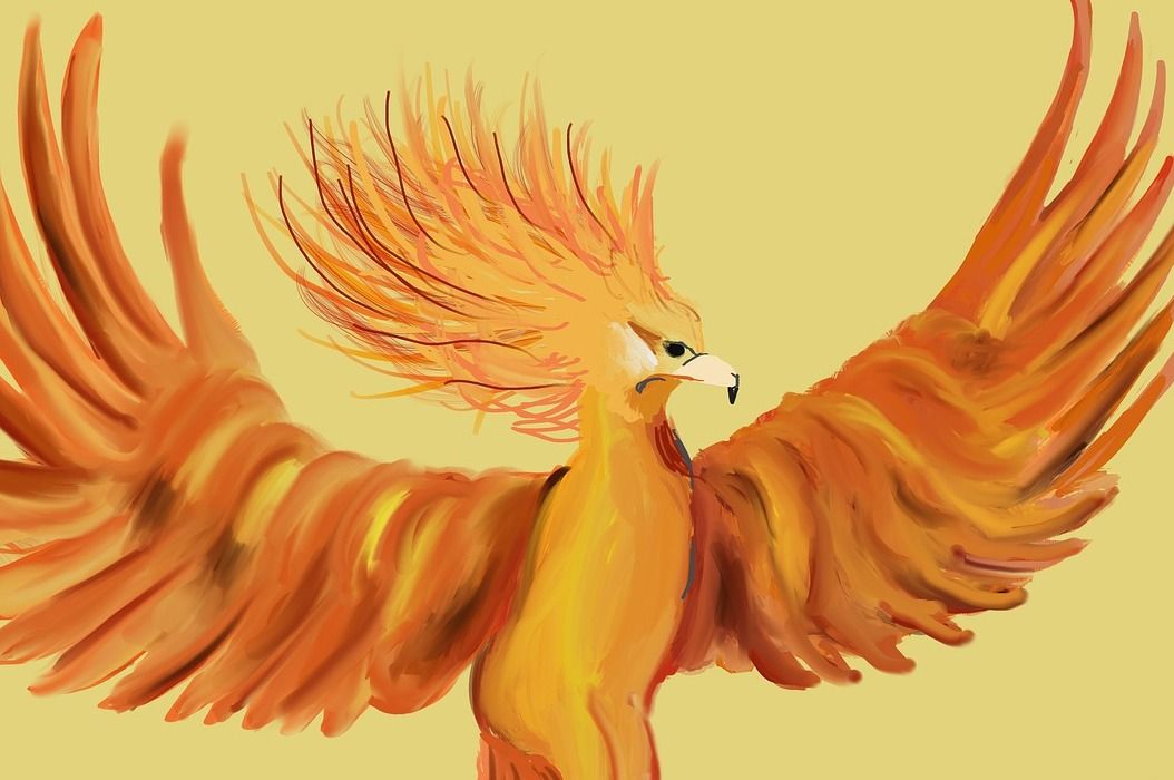 9900 Koleksi Gambar Burung Finix Terbaru