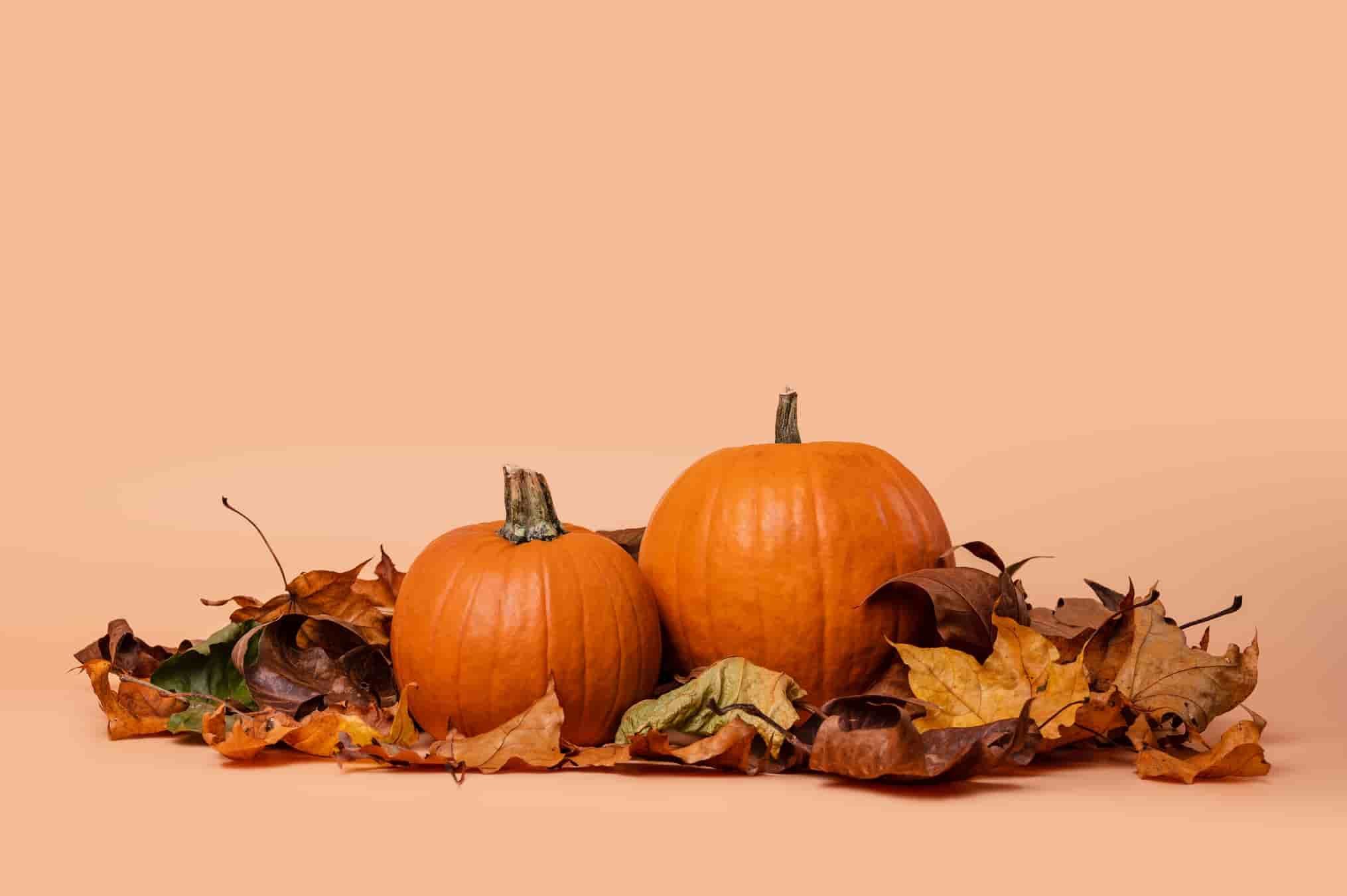 осень хэллоуин. осень тыквы. праздник тыквы в мытищах 2022 году. тыквы в ландшафте. пошла тыква.