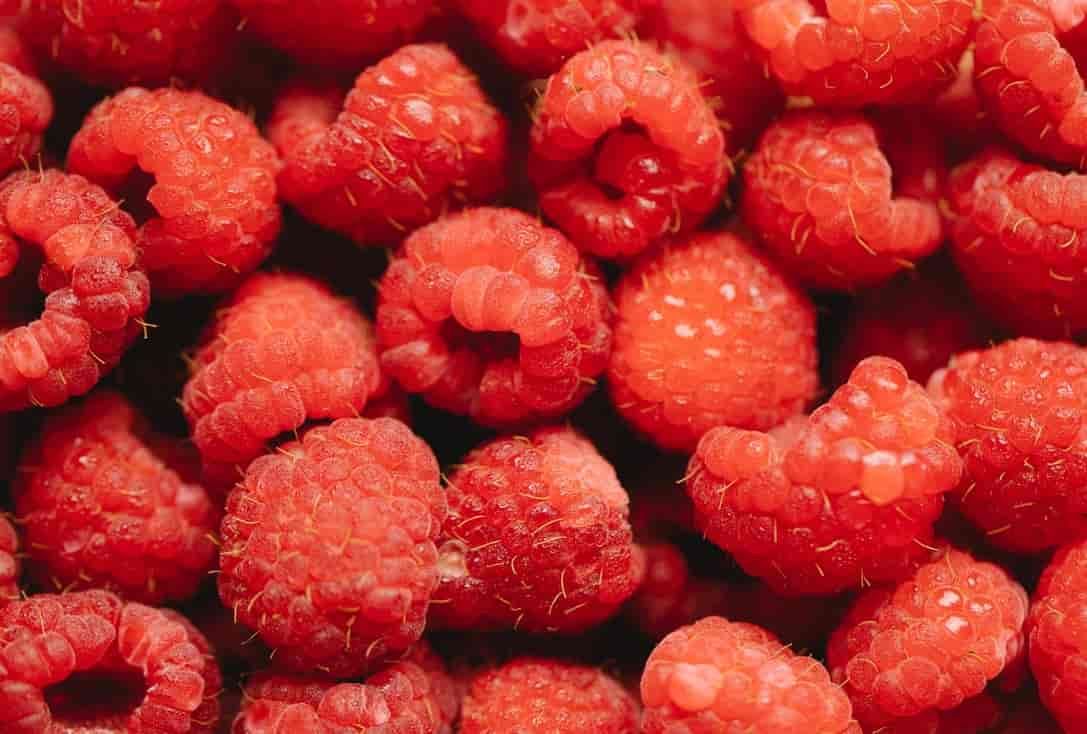 Kaya Antioksidan, Intip Manfaat Buah Raspberry untuk Kesehatan Kaya Antioksidan, Intip Manfaat Buah Raspberry untuk Kesehatan