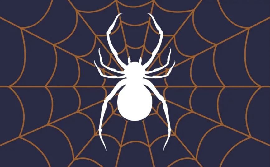 Jangan Takut! Arti Mimpi Membunuh Seekor Laba-Laba Ternyata Punya Makna  Positif Ini