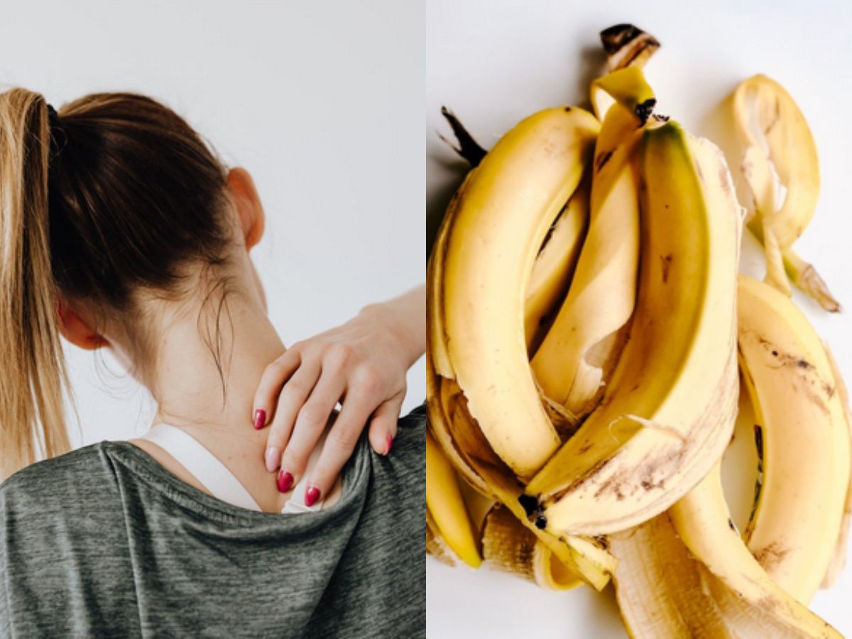 Kulit pada pisang bermanfaat kandungan flavonoid untuk yang tinggi antioksidan OLAHAN DARI