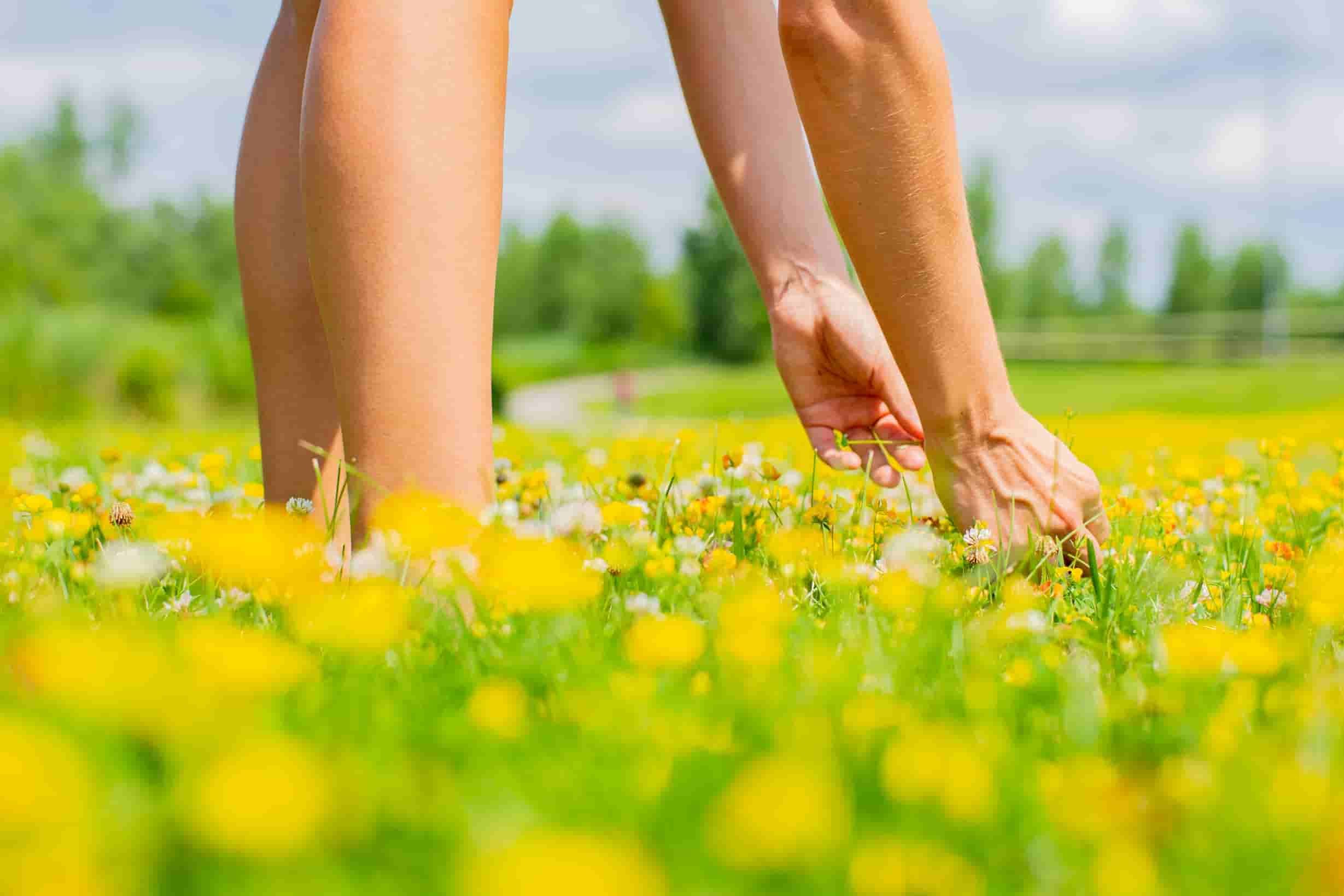 Mimpi Melihat Taman Bunga Punya Banyak Makna Positif, Apa Saja Mimpi Melihat Taman Bunga Punya Banyak Makna Positif, Apa Saja