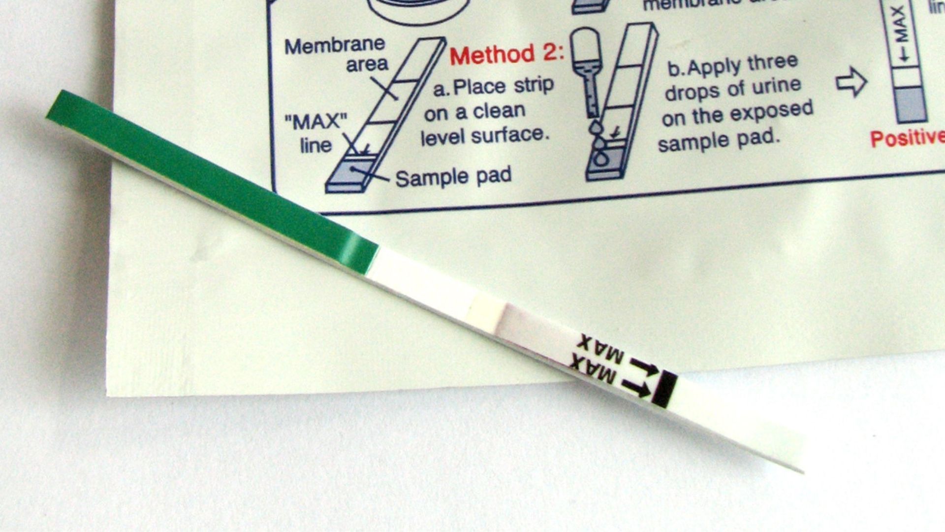 Ini Dia Sederet Ciri-ciri Hamil Muda 1 Minggu yang Mudah Dideteksi - Semua  Halaman - Nakita