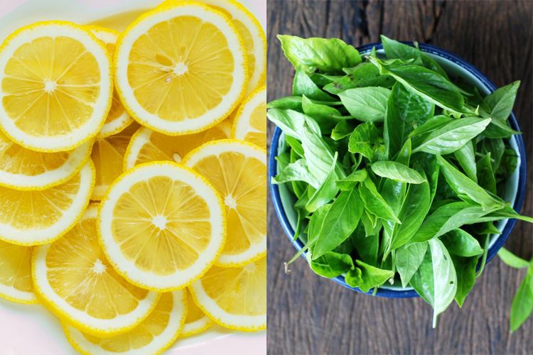 Bisa Dijajal Nanti Malam, Coba Taruh Irisan Lemon dan Kemangi di Bawah Kasur, Saat Bangun Pagi Pasti Terkejut Lihat Perubahan Ini - Semua Halaman - Sajian Sedap