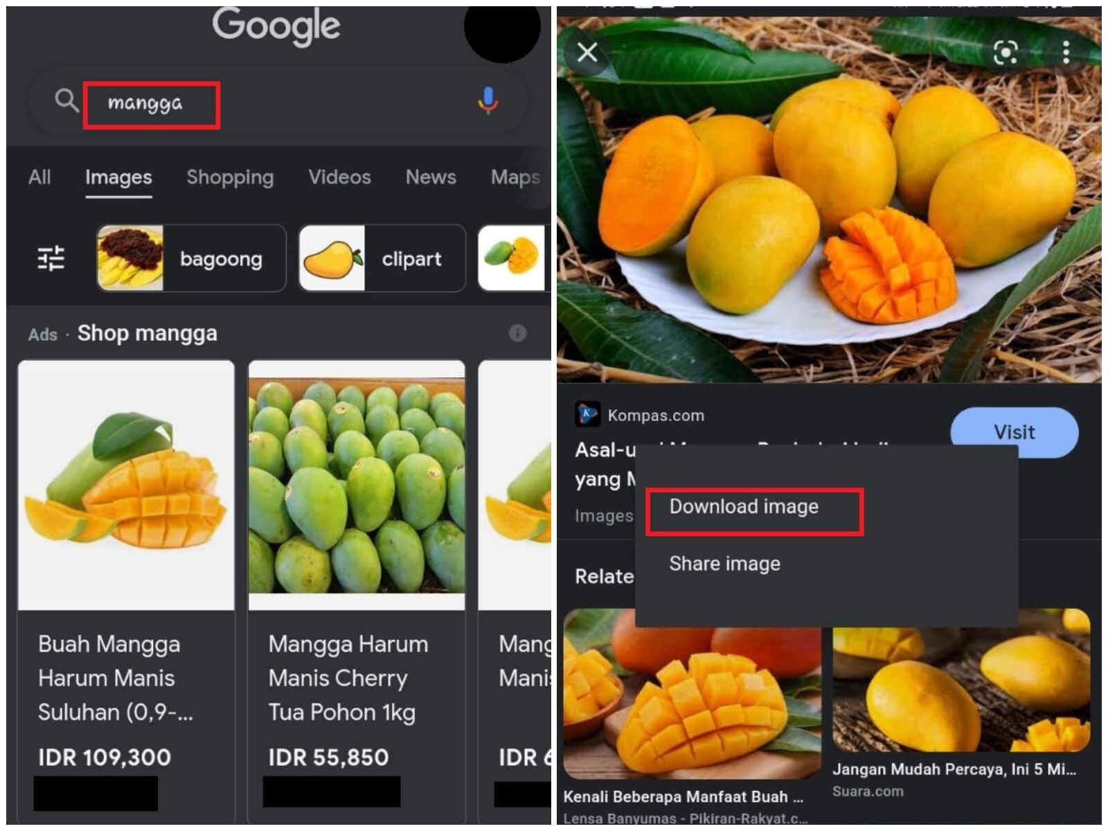3 Cara Download Gambar di Google Melalui Laptop dan Ponsel - Semua Halaman  - Bobo