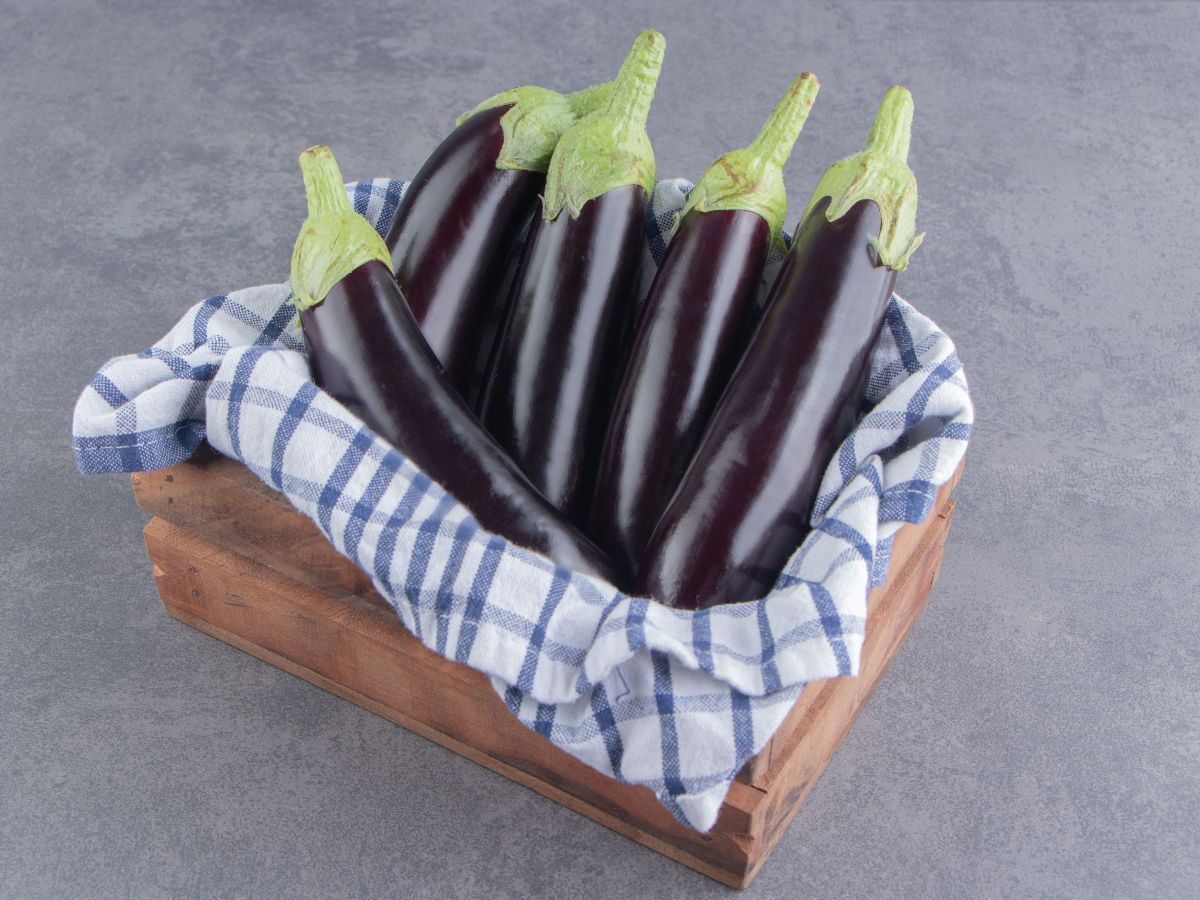 Aneka Tips Harian, Ternyata Begini Cara Goreng Terong Agar Tidak Menyerap  Banyak Minyak