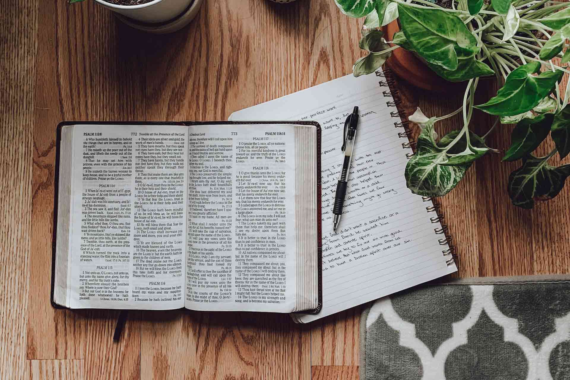 Perbedaan Past Perfect Tense dan Past Tense - Semua Halaman - Adjar