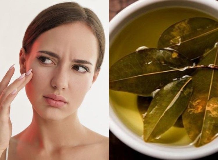 Daun salam kering disusun rapi dalam toples kaca transparan, menunjukkan berbagai nuansa hijau dan coklat, simbol dari bumbu alami yang digunakan dalam memasak