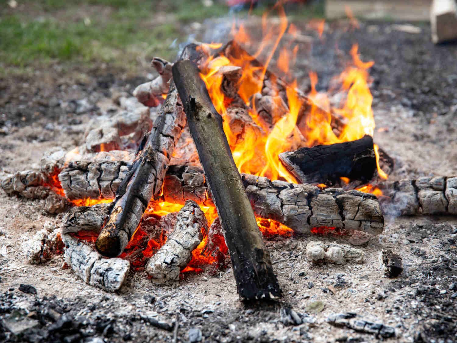 Why Does Burning Wood Make Sound and Smoke? Here's the Explanation