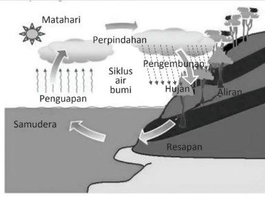 Grid Daur Daur Biogeokimia: Jenis, Fungsi dan Contoh - Semua Halaman - Sonora.id