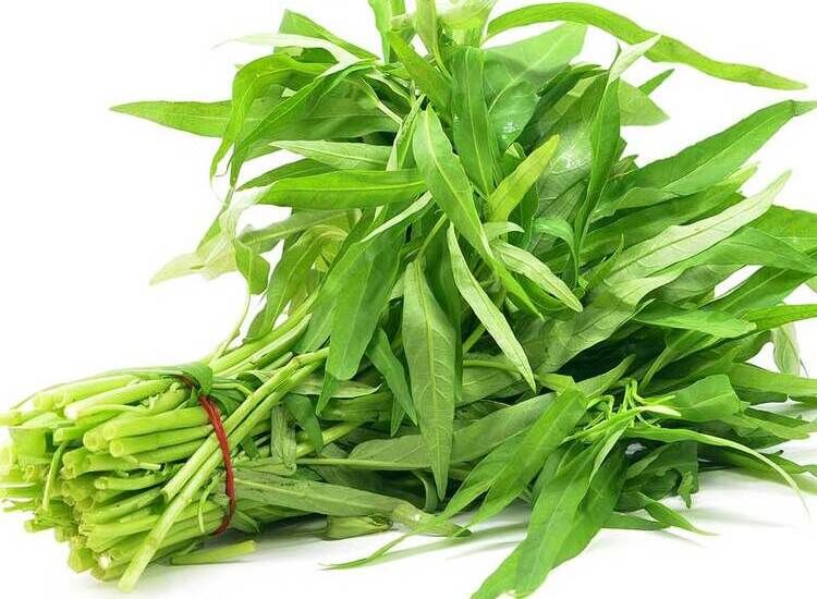 Nyetok Gak Sia-sia, Sayur Kangkung Tak Akan Layu Apalagi Berubah Warna  Hingga 1 Minggu Kalau Disimpan dengan Cara InSayur Hijau 