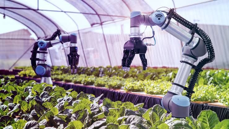 Gantikan Petani, China Gunakan Robot AI untuk Tanam dan Panen - Info Komputer