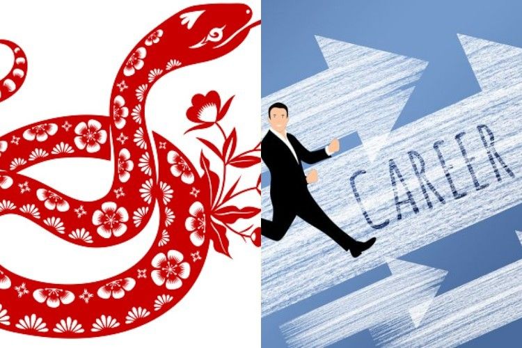 Berencana Switch Karier Tahun Ini? Berikut Pekerjaan yang Cocok untuk