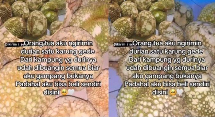
Wanita berbagi kisah soal dirinya yang mendapat kiriman buah durian tanpa duri