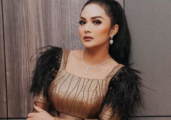 Hampir Tak Pernah Tersorot, Ternyata Ini Alasan Sebenarnya Krisdayanti Bercerai dengan Anang Hermansyah: 'Akhirnya Terjadi Macam-macam'