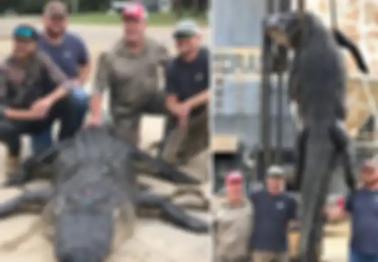 Monster Sungai Sepanjang 4,3 Meter dengan Bobot 363 Kg Ini Berhasil Dibekuk dari Atas Kapal, Simak Kengeriannya!
