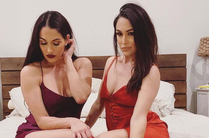 Nikki Bella dan Brie Bella merayakan ulang tahun ke-35, Rabu (21/11/2018).