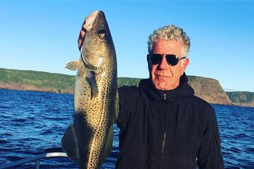 Anthony Bourdain