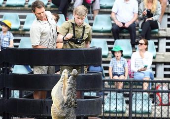 Anak Steve Irwin yang Meninggal Tertusuk Ikan Pari Ternyata Ikut Jejak Ayahnya Suka Berinteraksi dengan Hewan Buas!