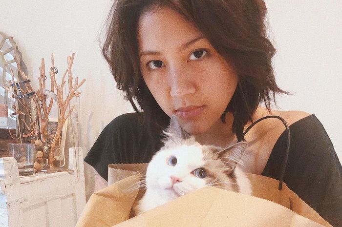Viral Aksi Oknum Mutilasi dan Jual Daging Kucing Peliharaan di Medan