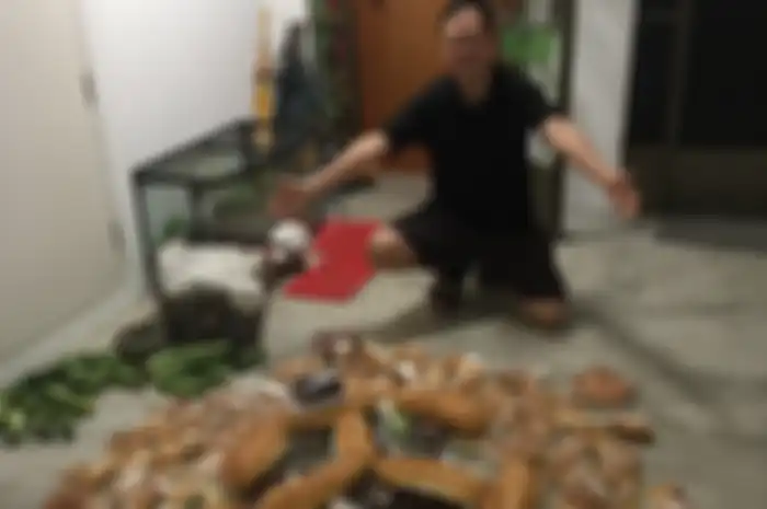 Dia hanya membutuhkan $8 atau setara Rp100 ribu untuk biaya makan selama setahun,  begini cara pria asal Singapura ini menjalankan gaya hidupnya. 