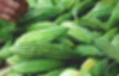Orang-orang Satu Indonesia Bisa Nangis Karena Baru Tahu, Dikira Selalu Sehat, Pare Justru Jadi Malapetaka Jika Dikonsumsi Orang dengan Kondisi Ini, Efeknya Tidak Main-main!
