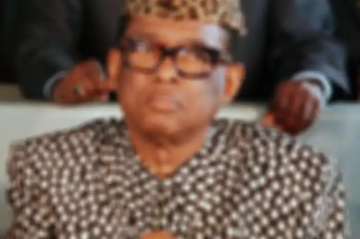 Mobutu larang orang lain kenakan topi macan tutul dan membawa-bawa tongkat kayu yang menurutnya membutuhkan kekuatan delapan oran untuk mengangkatnya.