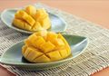 6 Dampak Kesehatan yang Terjadi Jika Moms Terlalu Banyak Makan Mangga
