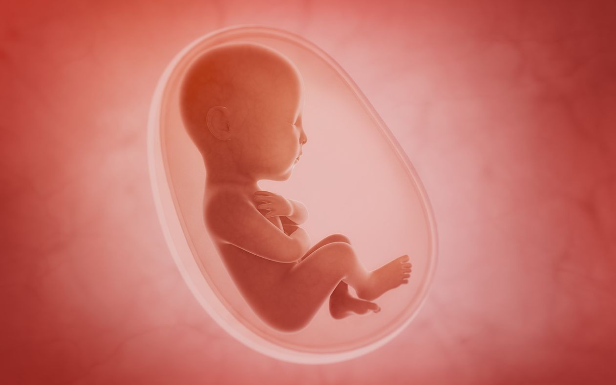 Keunikan Kehamilan Trimester 2, Nafsu Makan Ibu Meningkat, Bayi ...