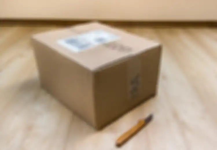Ngeri! Pria Ini Dapat Paket Kiriman Misterius yang Diantar Ojol, Setelah Dibuka Isinya Ternyata Bagian Tubuh Manusia Ini
