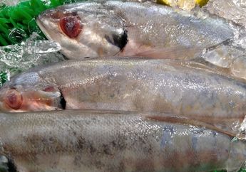 Wajib Tahu Moms, 6 Makanan Sehat untuk Ibu Hamil Muda Agar Janin Berkembang Sehat