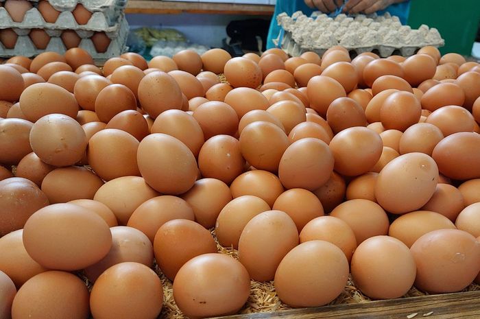 Bawa Uang Rp30 Ribu Cuma Dapat Telur Saja! Harga Telur Ayam 1 Kg di