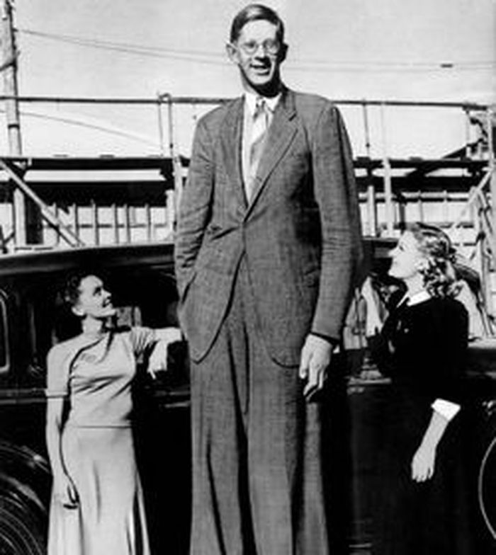 Robert Wadlow, Manusia Tertinggi di Dunia