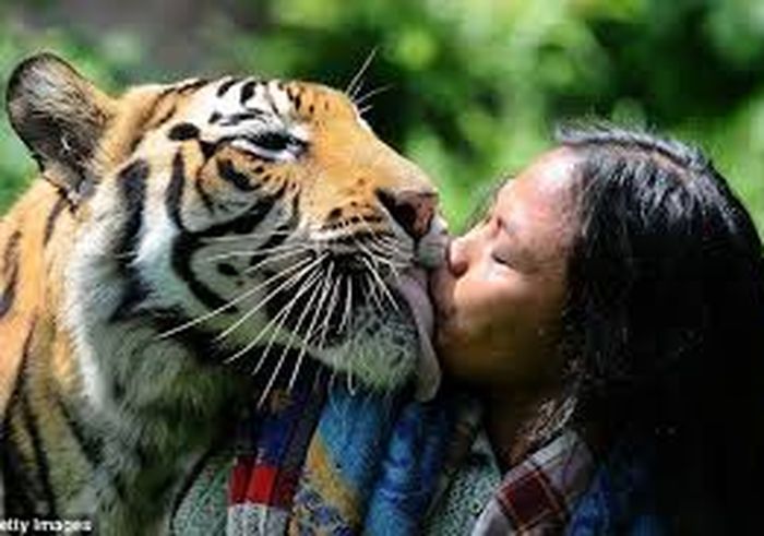 Abdullah Sholeh dan harimau kesayangannya.