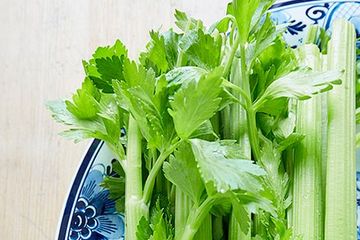 Manfaat daun seledri untuk kesehatan ginjal